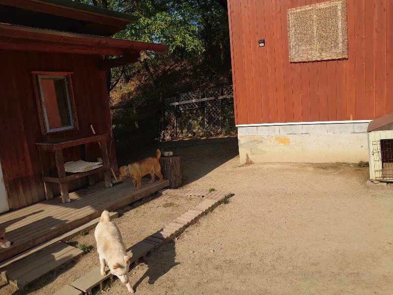 f：id：roukenhome-ann：20200501084442j：plain
