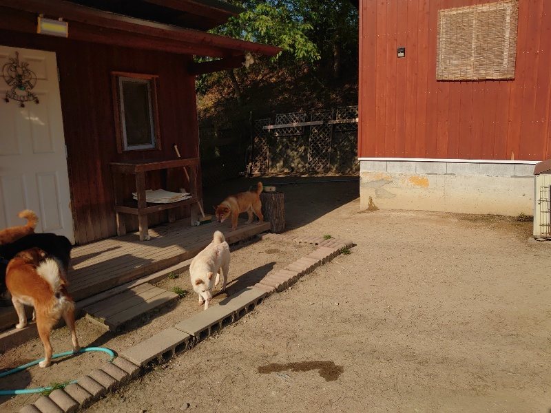 f：id：roukenhome-ann：20200501084446j：plain