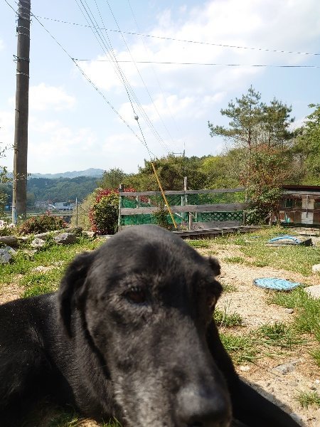 f:id:roukenhome-ann:20200502131245j:plain f:id:roukenhome-ann:20200502131245j:plain