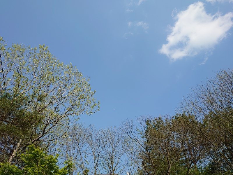 f:id:roukenhome-ann:20200502131330j:plain f:id:roukenhome-ann:20200502131330j:plain