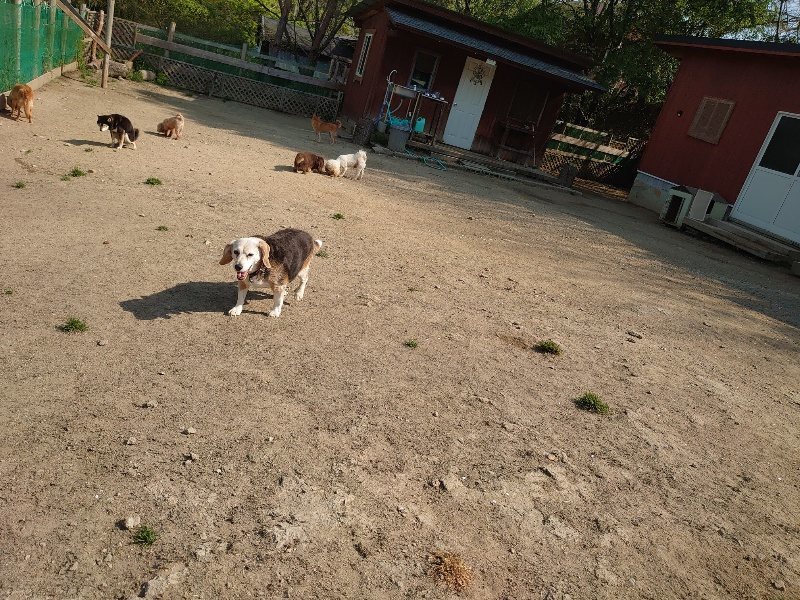f:id:roukenhome-ann:20200502131538j:plain f:id:roukenhome-ann:20200502131538j:plain