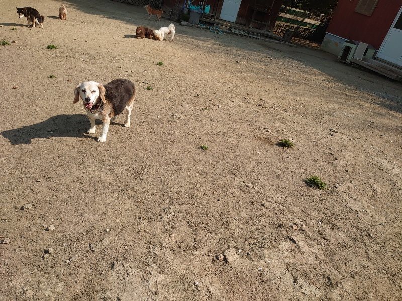 f:id:roukenhome-ann:20200502131543j:plain f:id:roukenhome-ann:20200502131543j:plain