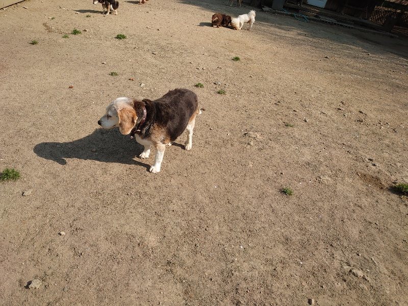 f:id:roukenhome-ann:20200502131557j:plain f:id:roukenhome-ann:20200502131557j:plain