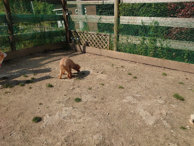 f:id:roukenhome-ann:20200502131622j:plain f:id:roukenhome-ann:20200502131622j:plain