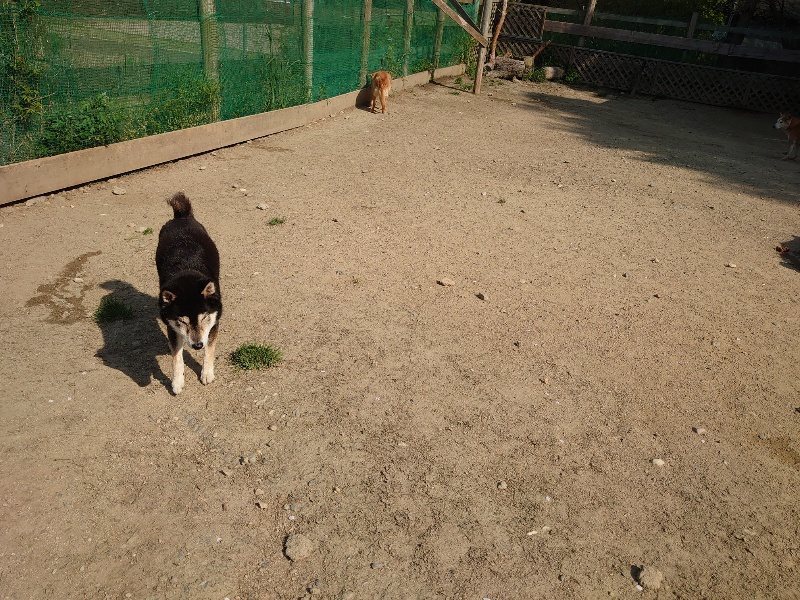 f:id:roukenhome-ann:20200502131651j:plain f:id:roukenhome-ann:20200502131651j:plain