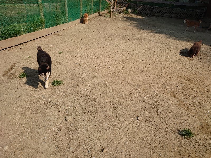 f:id:roukenhome-ann:20200502131656j:plain f:id:roukenhome-ann:20200502131656j:plain