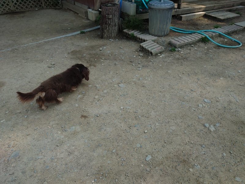 f:id:roukenhome-ann:20200502131810j:plain f:id:roukenhome-ann:20200502131810j:plain