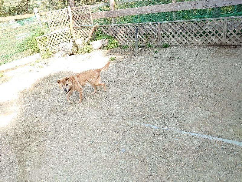 f:id:roukenhome-ann:20200502131838j:plain f:id:roukenhome-ann:20200502131838j:plain