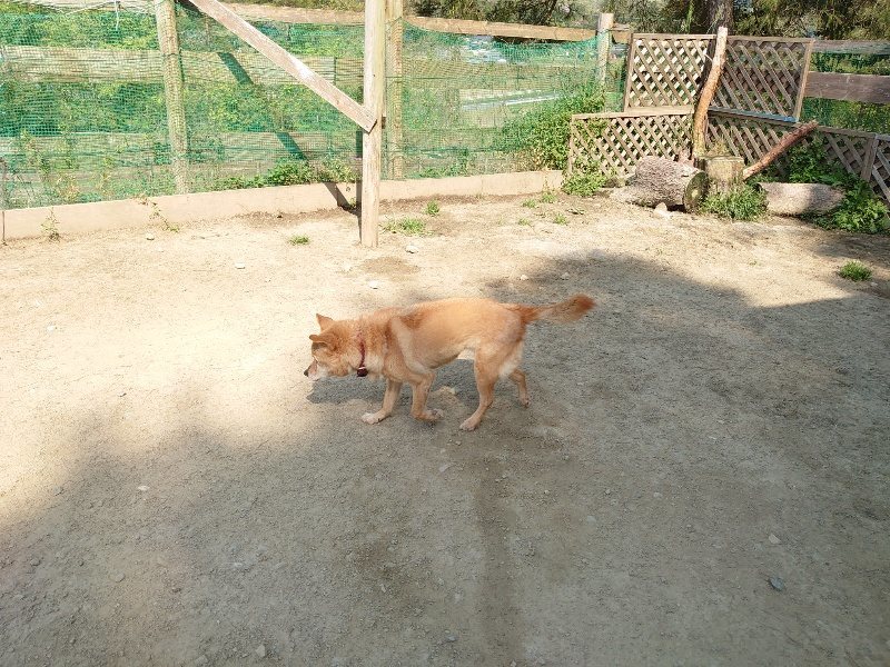 f:id:roukenhome-ann:20200502131845j:plain f:id:roukenhome-ann:20200502131845j:plain