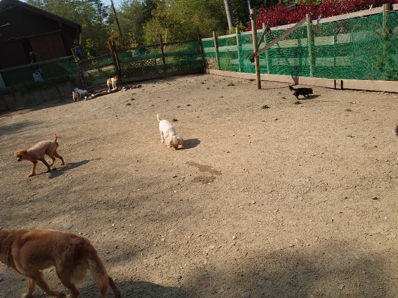 f:id:roukenhome-ann:20200502131926j:plain f:id:roukenhome-ann:20200502131926j:plain