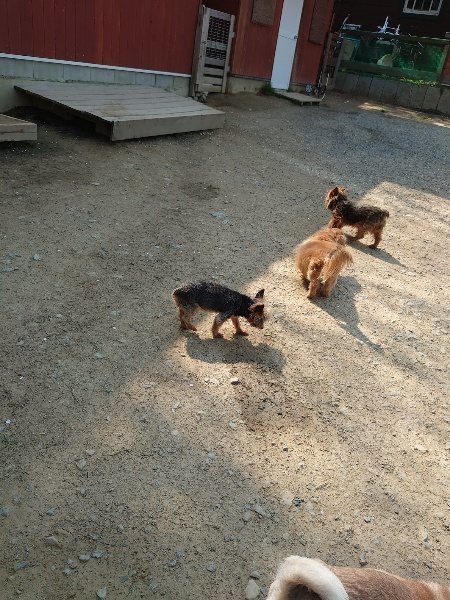 f:id:roukenhome-ann:20200502132315j:plain f:id:roukenhome-ann:20200502132315j:plain
