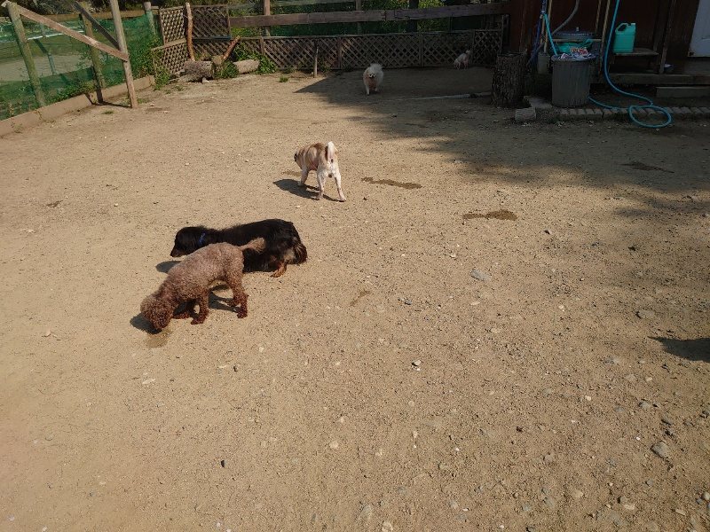 f:id:roukenhome-ann:20200502132450j:plain f:id:roukenhome-ann:20200502132450j:plain