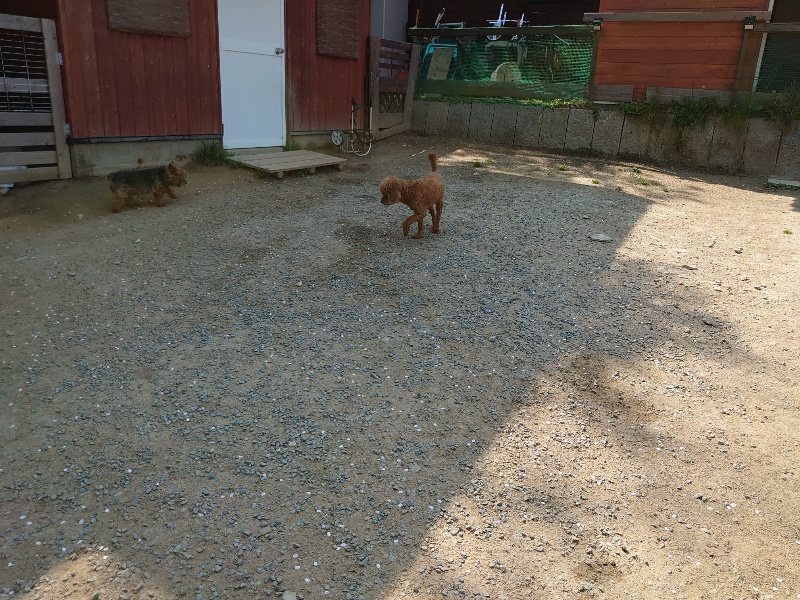 f:id:roukenhome-ann:20200502132502j:plain f:id:roukenhome-ann:20200502132502j:plain