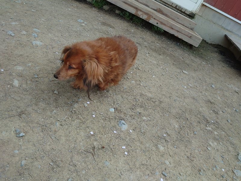 f:id:roukenhome-ann:20200502132536j:plain f:id:roukenhome-ann:20200502132536j:plain