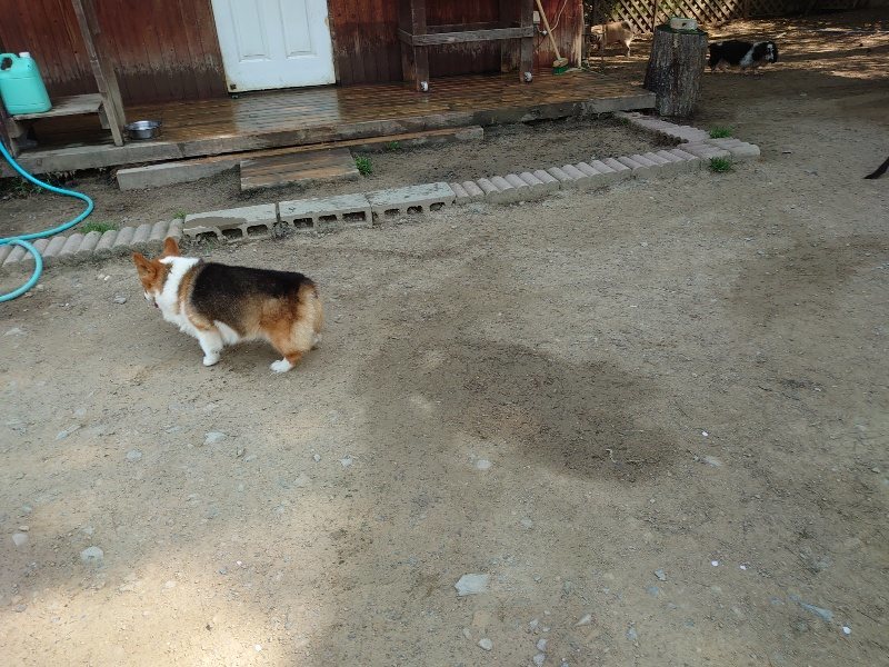 f:id:roukenhome-ann:20200502132545j:plain f:id:roukenhome-ann:20200502132545j:plain