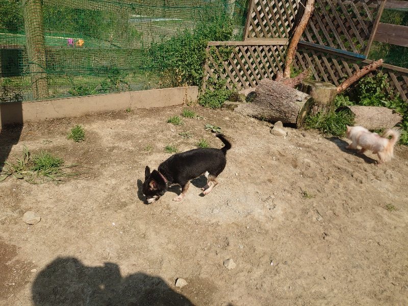 f:id:roukenhome-ann:20200502132747j:plain f:id:roukenhome-ann:20200502132747j:plain