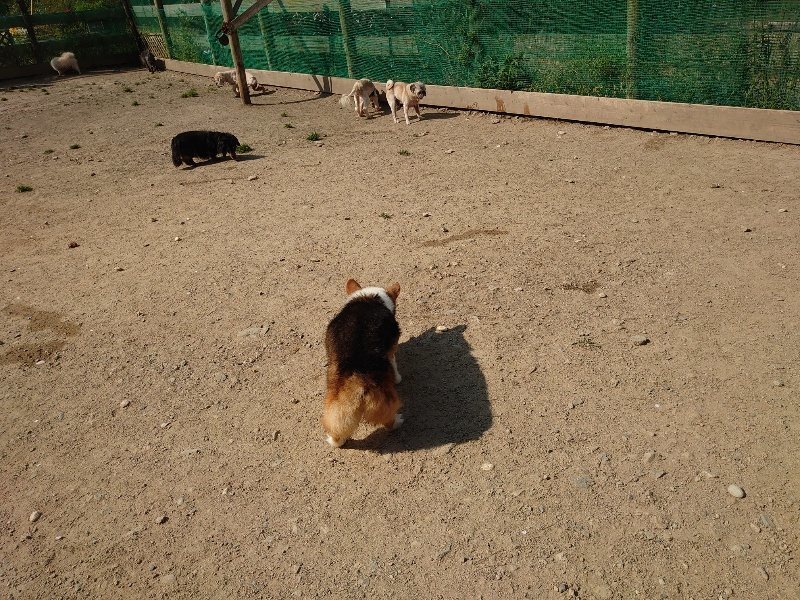 f:id:roukenhome-ann:20200502132837j:plain f:id:roukenhome-ann:20200502132837j:plain