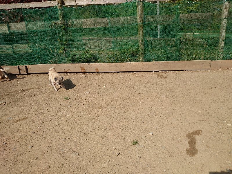 f:id:roukenhome-ann:20200502132853j:plain f:id:roukenhome-ann:20200502132853j:plain