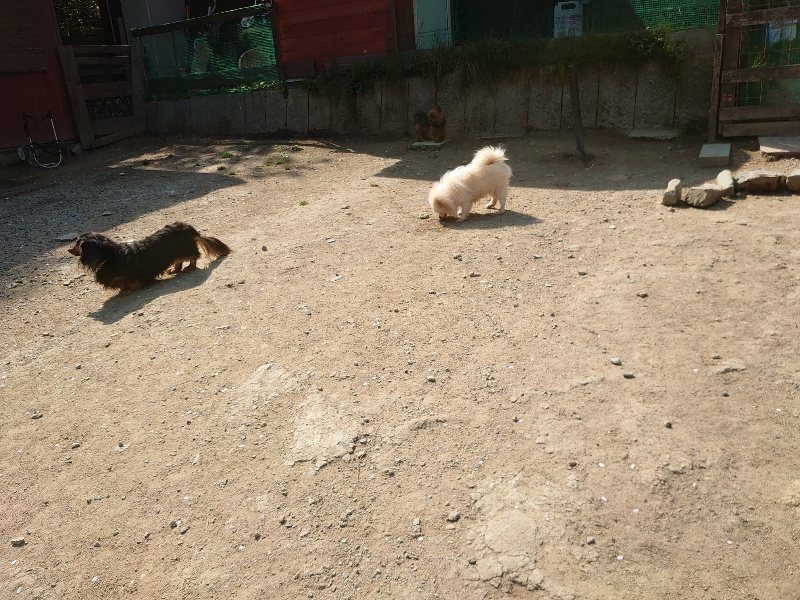 f:id:roukenhome-ann:20200502133044j:plain f:id:roukenhome-ann:20200502133044j:plain