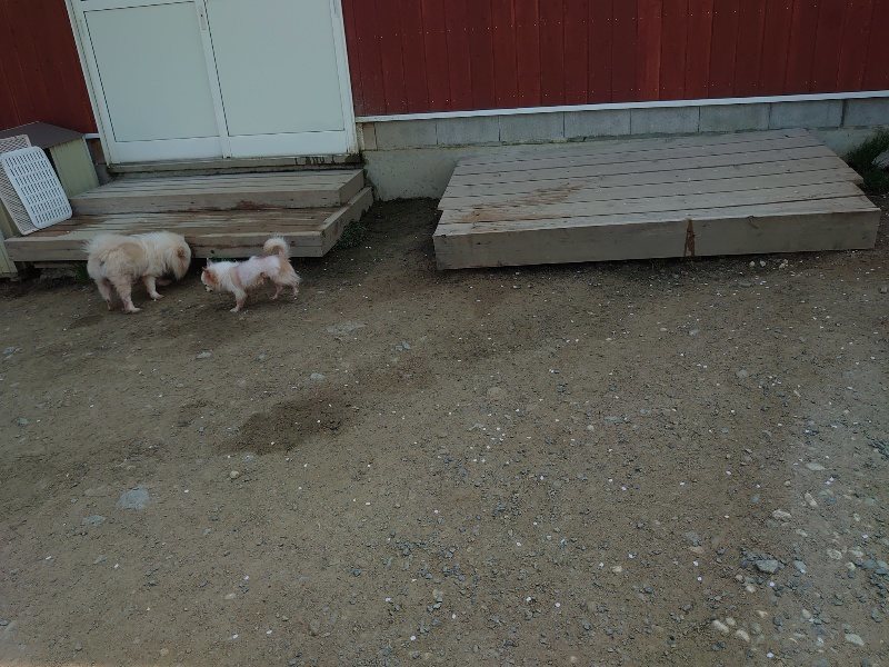 f:id:roukenhome-ann:20200502133401j:plain f:id:roukenhome-ann:20200502133401j:plain