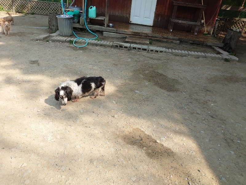 f:id:roukenhome-ann:20200502133414j:plain f:id:roukenhome-ann:20200502133414j:plain