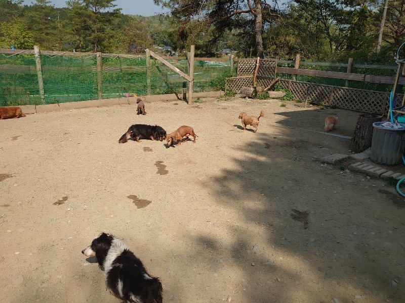 f:id:roukenhome-ann:20200502133512j:plain f:id:roukenhome-ann:20200502133512j:plain