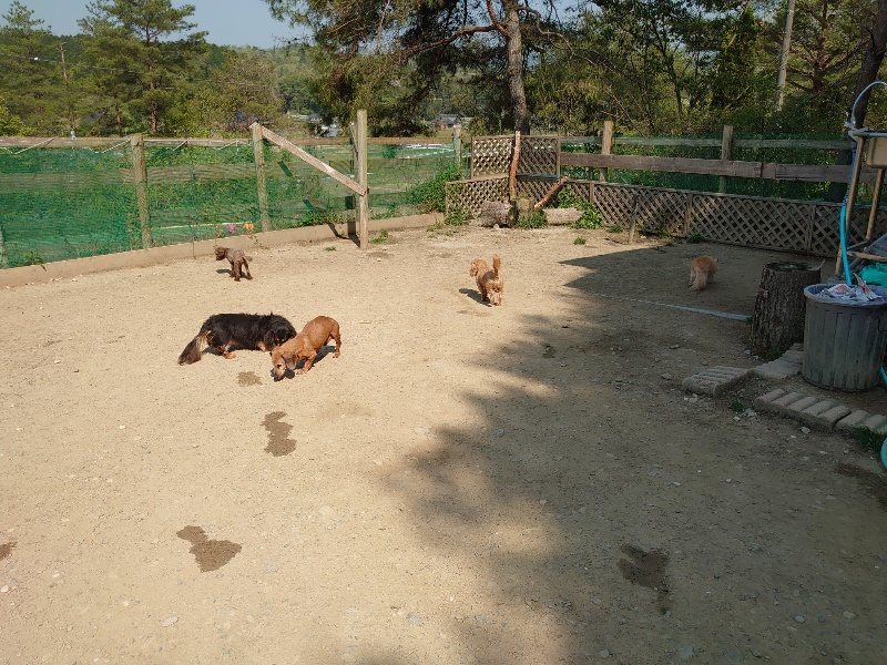 f:id:roukenhome-ann:20200502133527j:plain f:id:roukenhome-ann:20200502133527j:plain