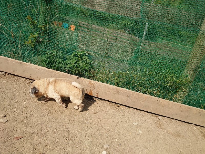 f:id:roukenhome-ann:20200502133633j:plain f:id:roukenhome-ann:20200502133633j:plain