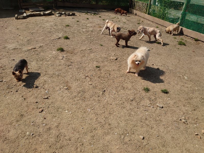 f:id:roukenhome-ann:20200502133818j:plain f:id:roukenhome-ann:20200502133818j:plain