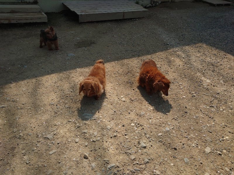 f:id:roukenhome-ann:20200502133921j:plain f:id:roukenhome-ann:20200502133921j:plain