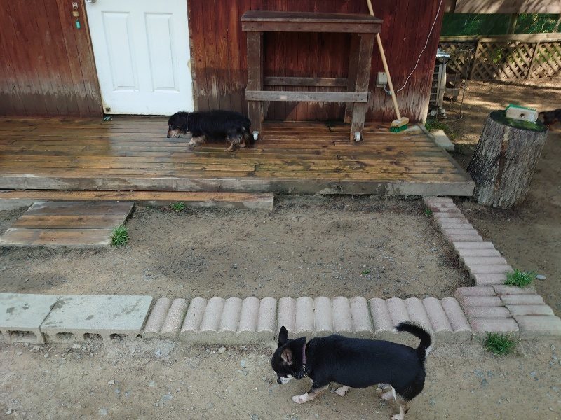 f:id:roukenhome-ann:20200502133933j:plain f:id:roukenhome-ann:20200502133933j:plain