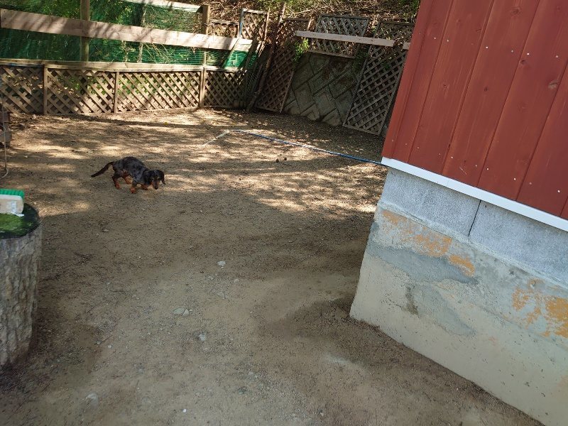 f:id:roukenhome-ann:20200502133944j:plain f:id:roukenhome-ann:20200502133944j:plain