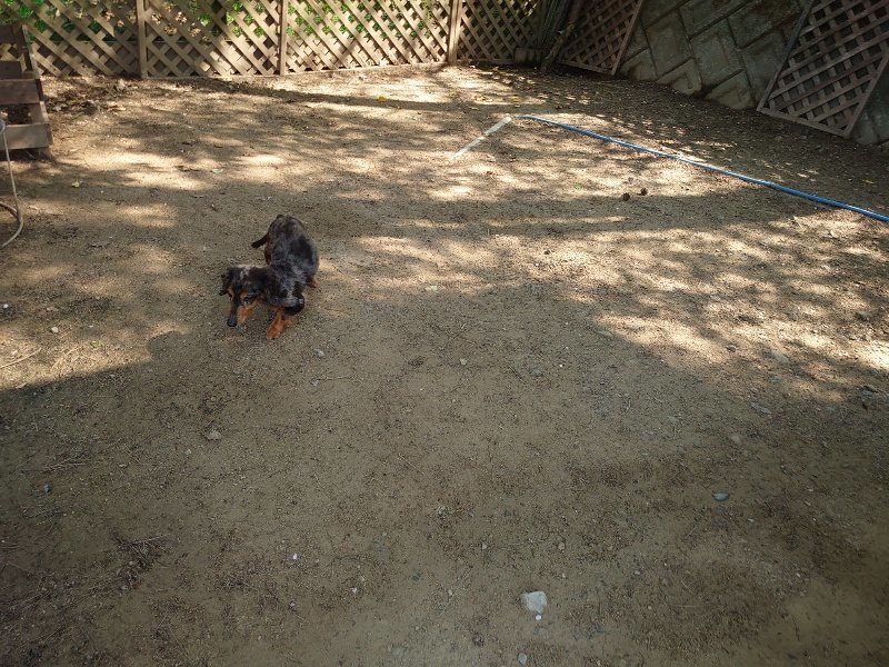 f:id:roukenhome-ann:20200502133956j:plain f:id:roukenhome-ann:20200502133956j:plain