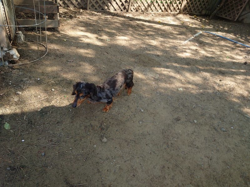 f:id:roukenhome-ann:20200502134001j:plain f:id:roukenhome-ann:20200502134001j:plain