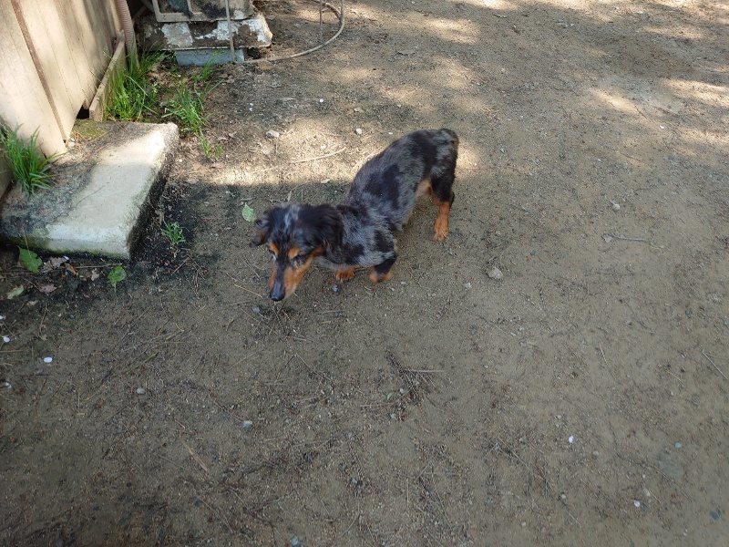 f:id:roukenhome-ann:20200502134014j:plain f:id:roukenhome-ann:20200502134014j:plain