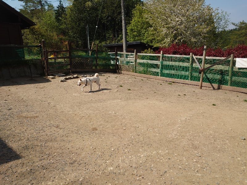 f:id:roukenhome-ann:20200502134020j:plain f:id:roukenhome-ann:20200502134020j:plain