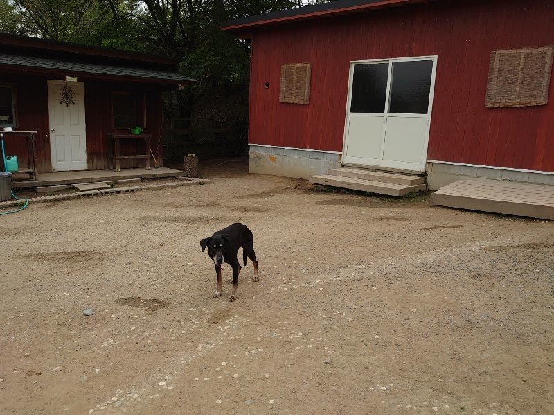 f：id：roukenhome-ann：20200503174631j：plain