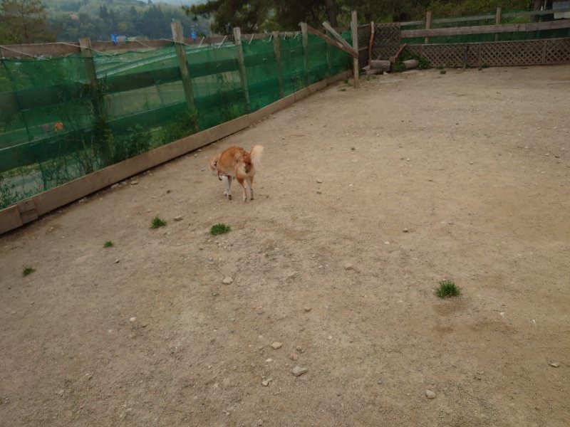 f：id：roukenhome-ann：20200503174637j：plain