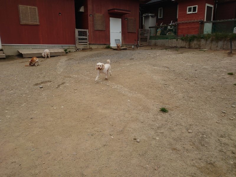 f：id：roukenhome-ann：20200503174906j：plain