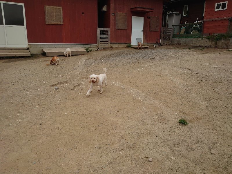 f：id：roukenhome-ann：20200503174912j：plain