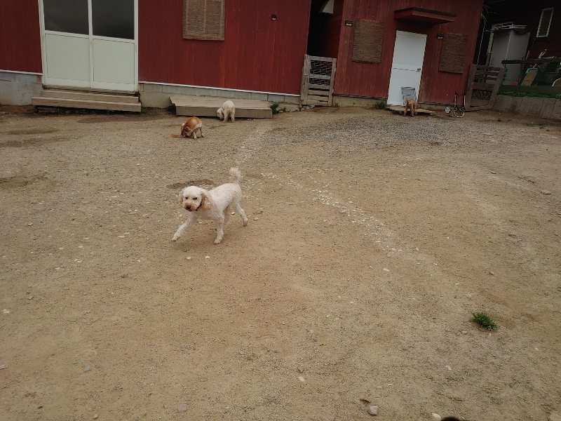 f：id：roukenhome-ann：20200503174917j：plain