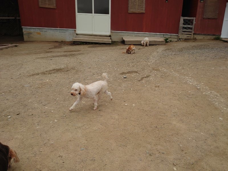 f：id：roukenhome-ann：20200503174922j：plain