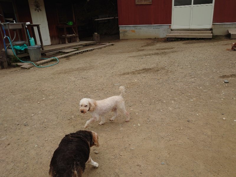 f：id：roukenhome-ann：20200503174926j：plain