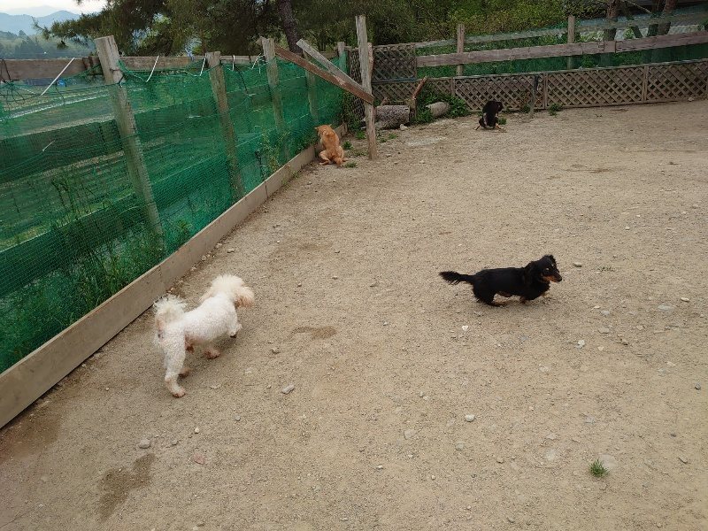 f：id：roukenhome-ann：20200503174959j：plain
