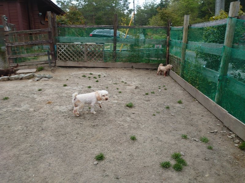 f：id：roukenhome-ann：20200503175052j：plain