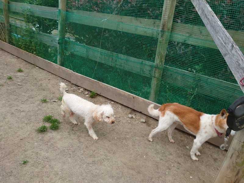 f：id：roukenhome-ann：20200503175126j：plain