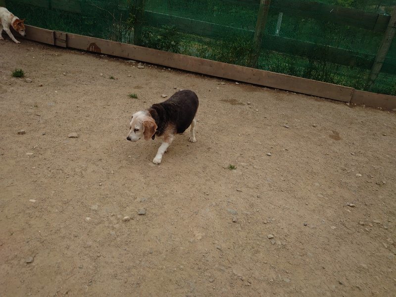 f：id：roukenhome-ann：20200503175144j：plain