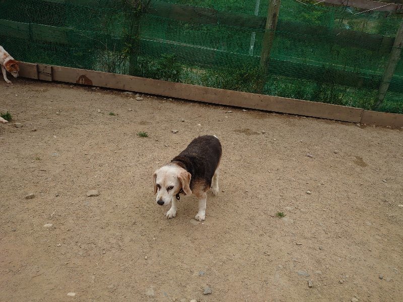f：id：roukenhome-ann：20200503175155j：plain