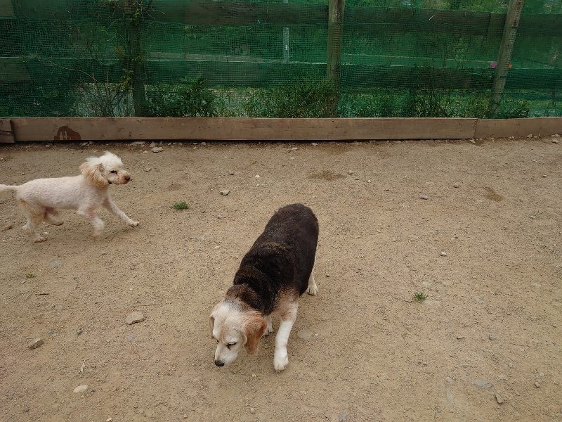 f：id：roukenhome-ann：20200503175201j：plain