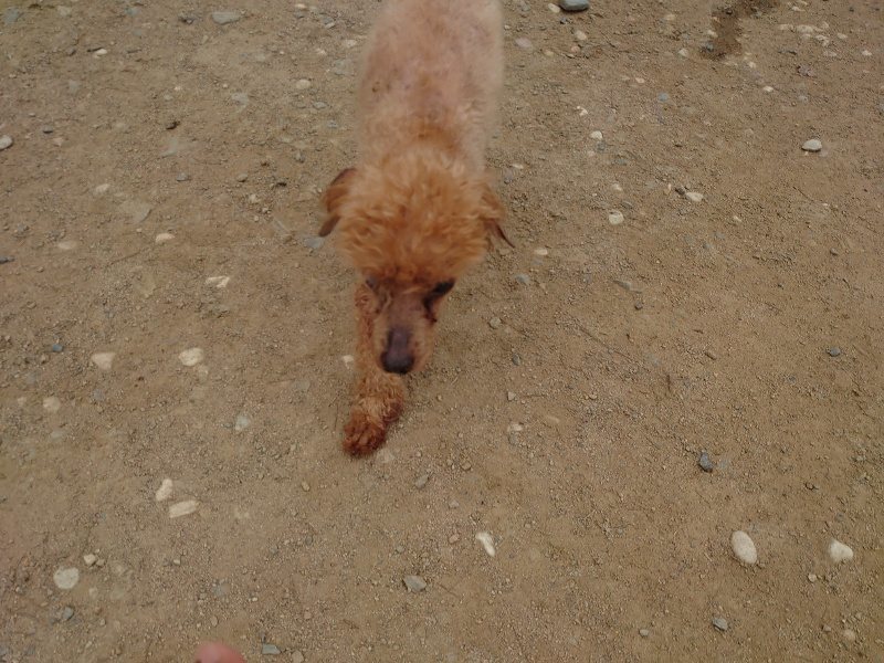 f：id：roukenhome-ann：20200503175230j：plain